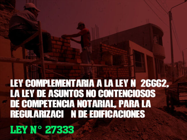 ley-27333